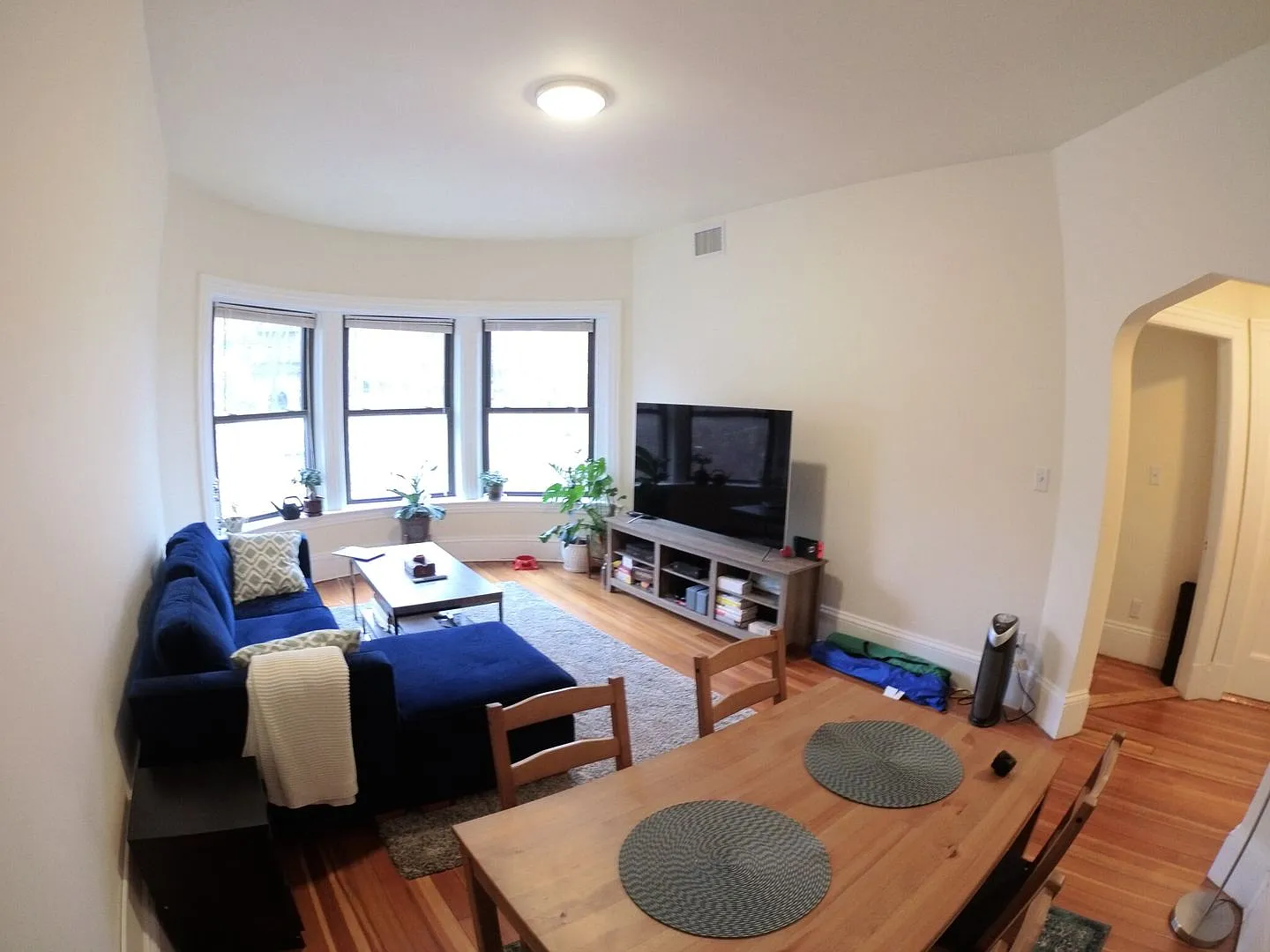 9/1 No Fee! Updated 2BR in Coolidge Corner — Photo 2
