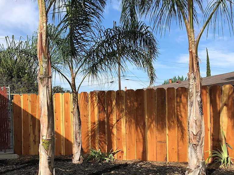 863 Virginia St — Photo 8