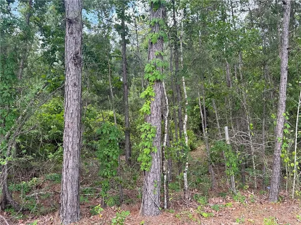 0 Philadelphia Rd, Deville, LA 71328