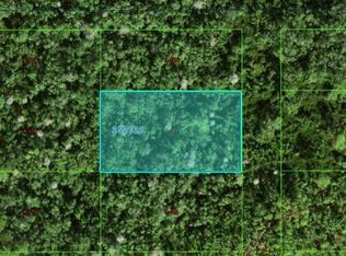 Commonwealth Ave N, Polk City, FL 33868