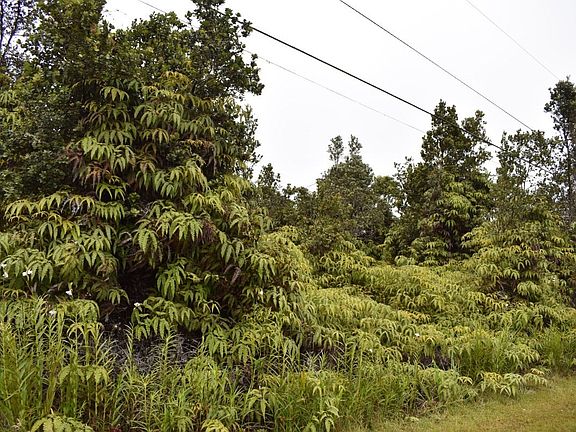 5th image of Pa Alii St Lot 1703