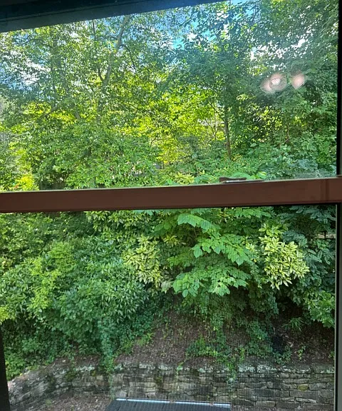 View from bedroom window