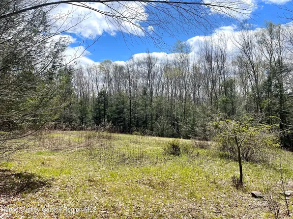 00 County Road 10, Ashland, NY 12407