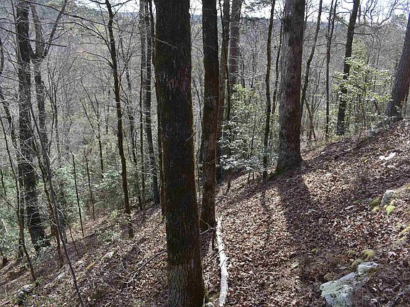 4th image of 0 Old Dallas Rd W