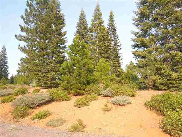 1st image of 265 Bailey Creek Dr