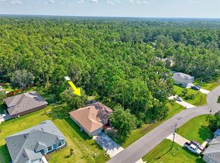 6 Kaiser Pl, Palm Coast, FL 32164