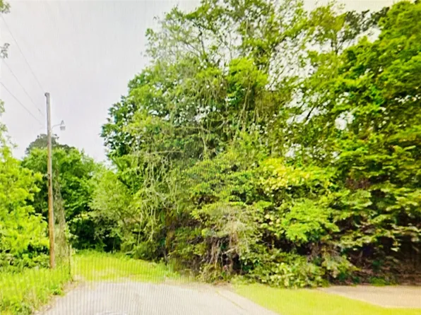 0 W Harrison St, Livingston, TX 77351