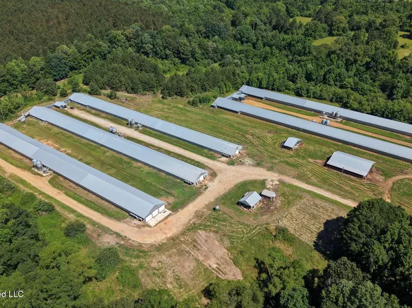10671 Highway 427, Carthage, MS 39051