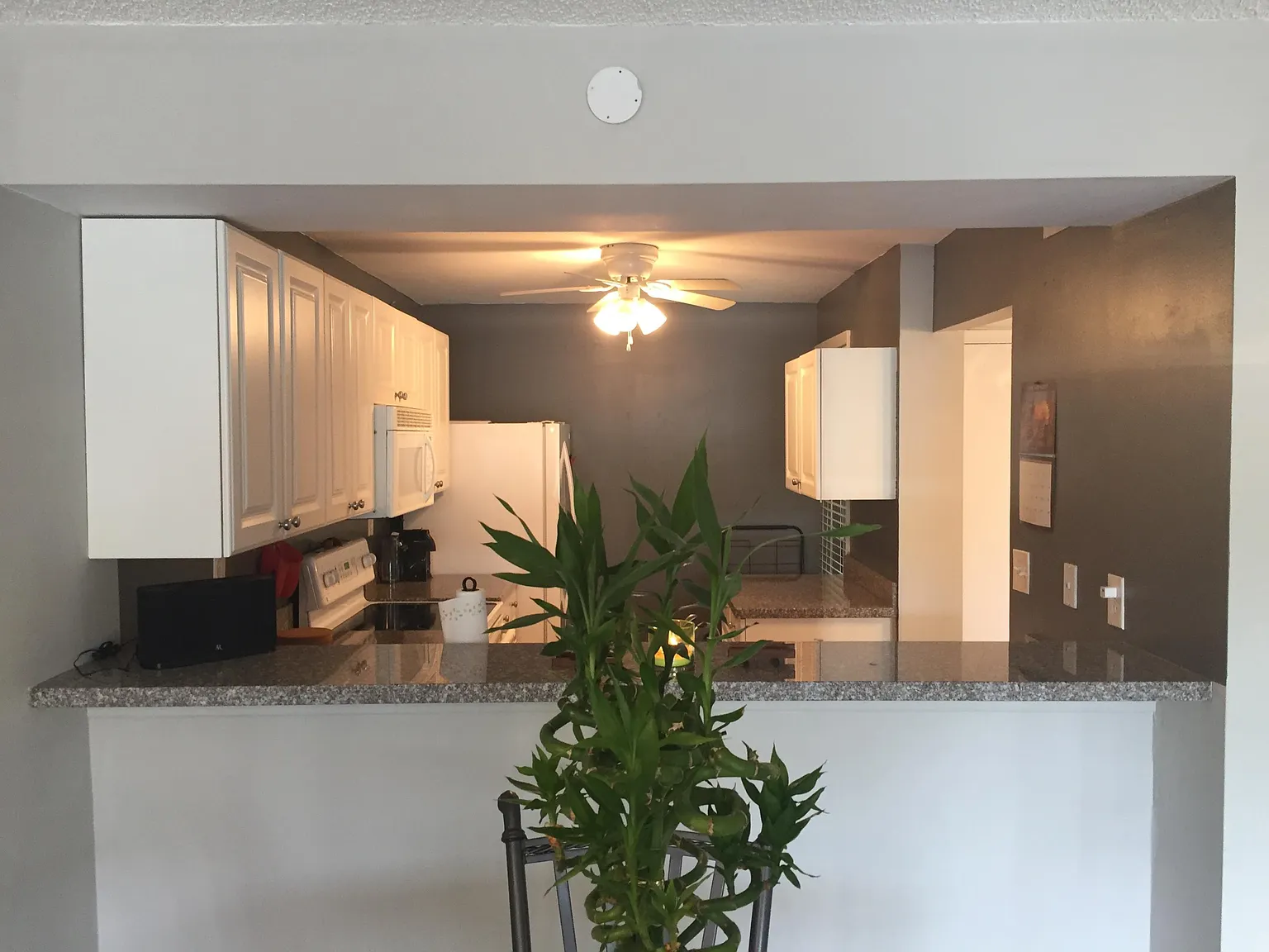 1 bed, 1.0 bath, 795 sqft, $2,150 — Photo 2