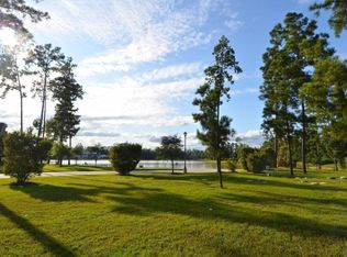 27541 Hunter Creek Ct, Spring, TX 77386