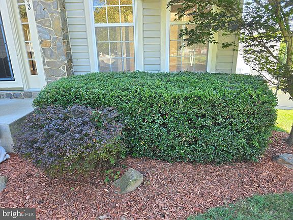 5th image of 7503 Belmar Ct