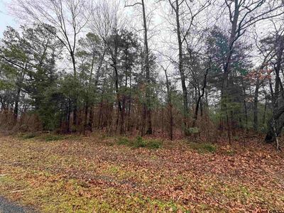 000 Fm 856, Troup, TX, 75789