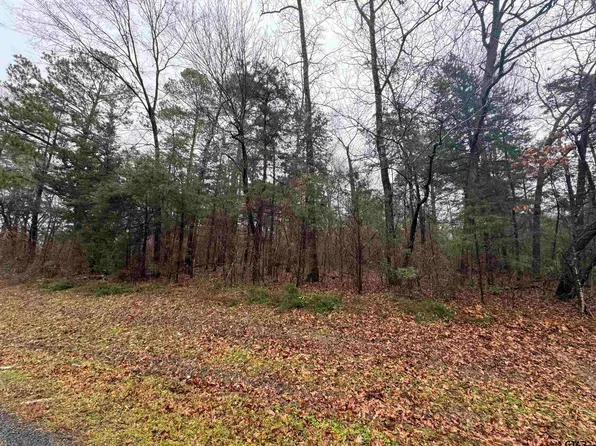 000 Fm 856, Troup, TX 75789