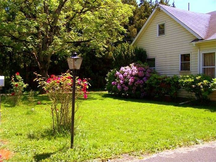 Front Yard