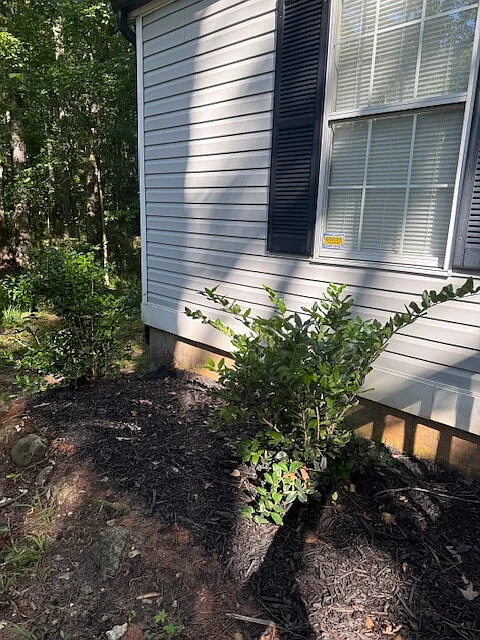 3 bed, 1.0 bath, 1061 sqft, $1,800 — Photo 4