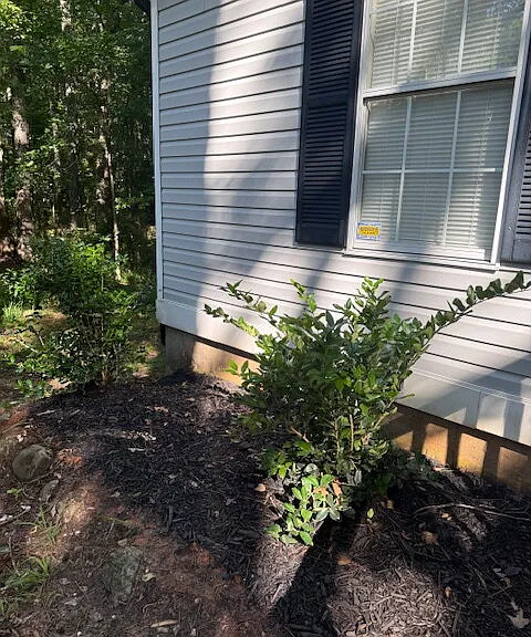 104 N Meade Dr — Photo 4
