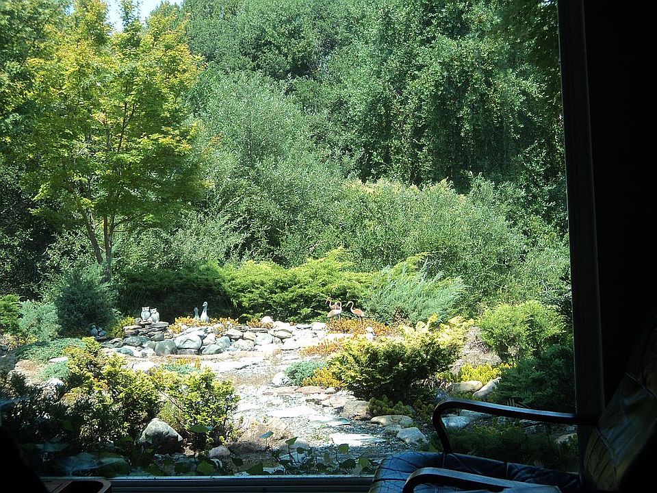 pond without water in the back yard