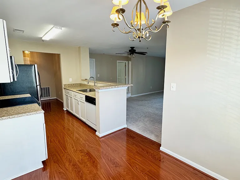 2015 Gov Thomas Bladen Way #204 — Photo 4