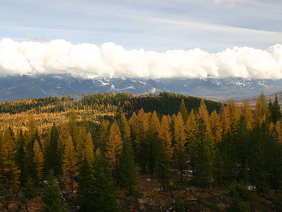 5th image of 1500 Morgan Mountain Ter