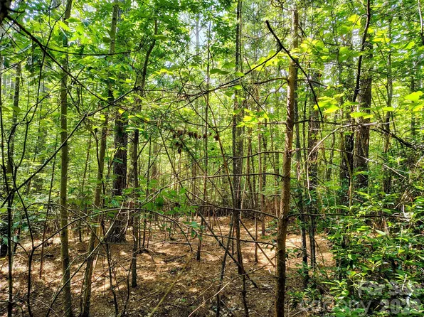 210 Harbor Ridge Dr, Connelly Springs, NC 28612
