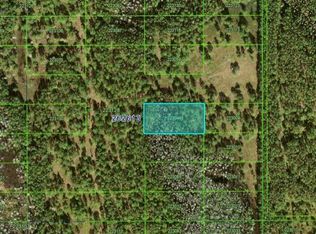 N/a #98, Polk City, FL 33868