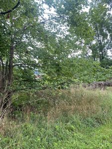 817 Hill Ln, Marlinton, WV, 24954