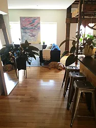 Rented by The Durst Organization