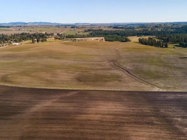 13307 E Gibbs Rd, Mica, WA 99023