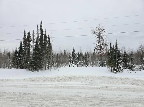 PARCEL 1 Townline Rd, Lanse, MI 49946