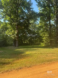 64 Eureka Landing Rd #63, Uriah, AL, 36480