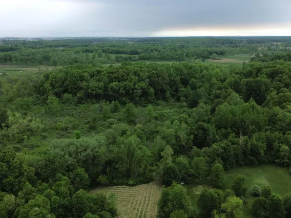 Pioneer St, Marcellus, MI 49067