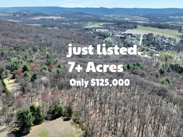 0 Little Mountain Rd, Orwigsburg, PA 17961