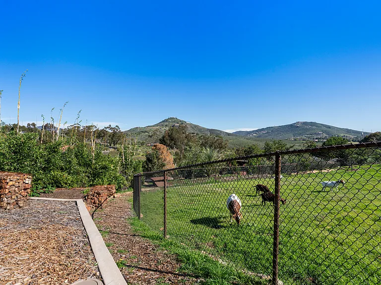 3605 1/2 Fortuna Ranch Rd — Photo 66