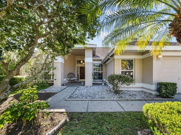 9203 DAYFLOWER DRIVE, TAMPA, FL 33647