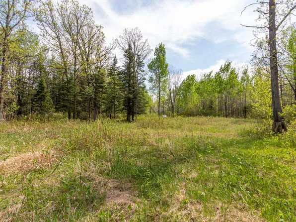 Stephani Rd NW, Puposky, MN 56667