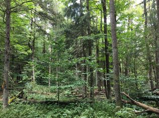 Fox Rd, Redfield, NY 13437