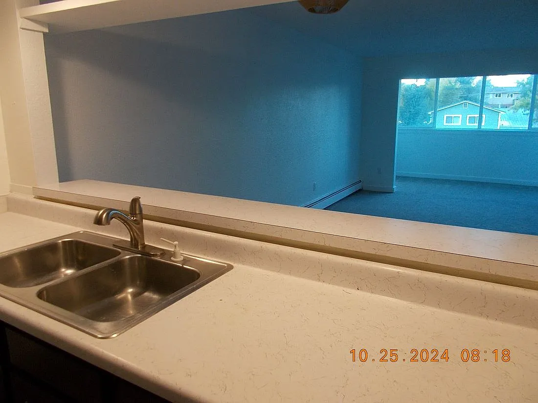 2 bed, 900 sqft, $1,650 — Photo 3