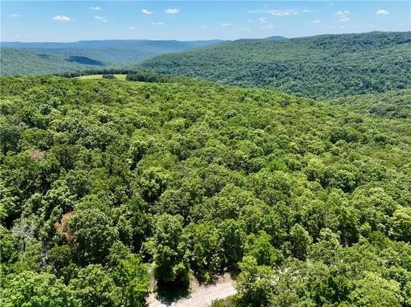 Zinnamon Church Rd, West Fork, AR 72774