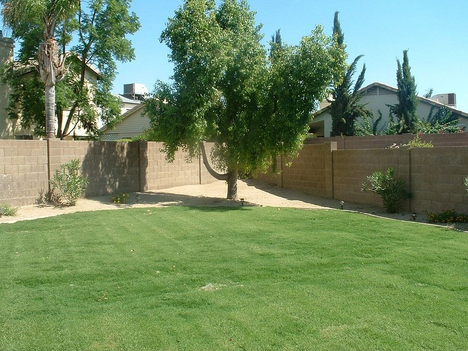 Huge Backyard
