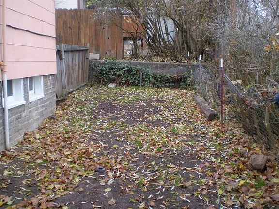 Back yard