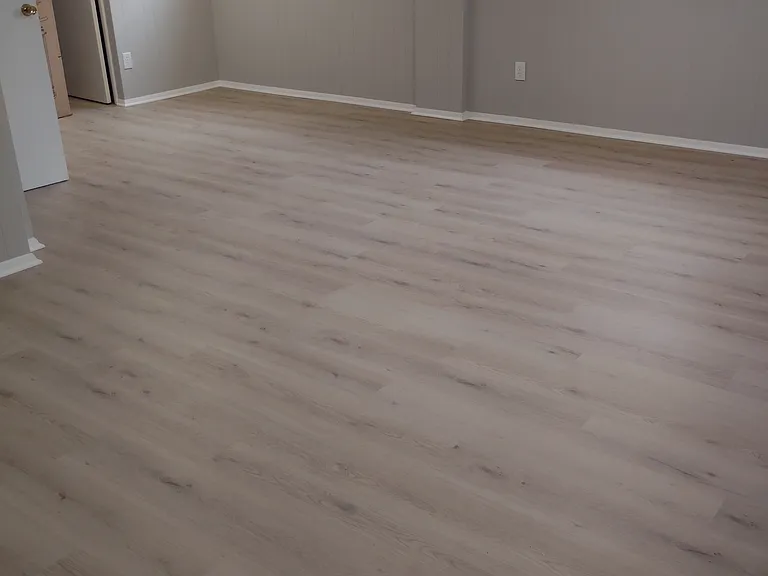Massive Basement Family Room