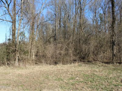 0 Gwynn Rd, Nesbit, MS, 38651
