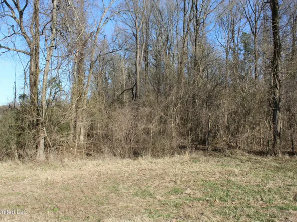 0 Gwynn Rd, Nesbit, MS 38651