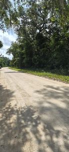 NE 278th Ave Lot 52, Old Town, FL, 32680