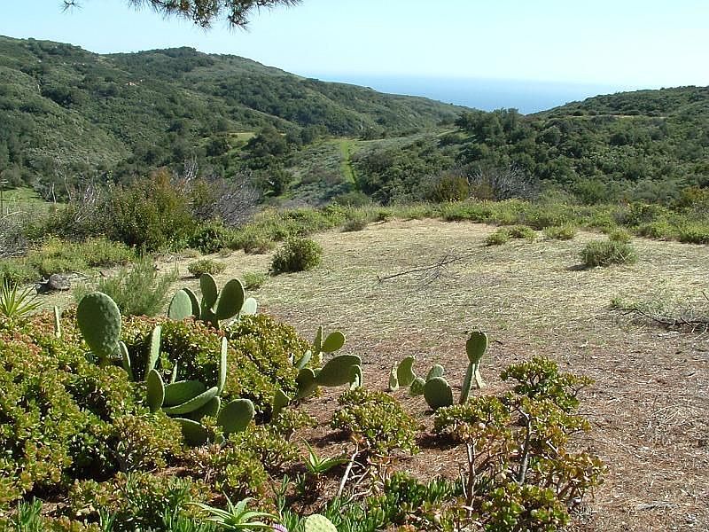 view toward the ocean