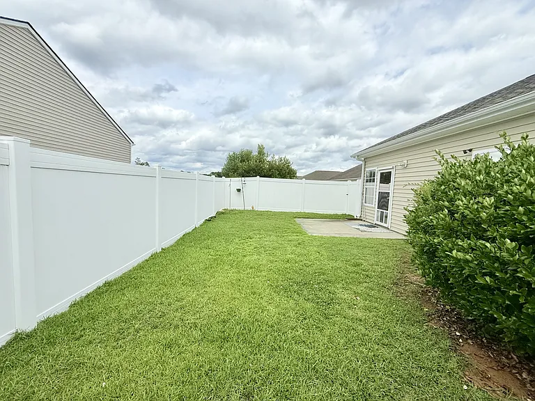 Backyard 2_06032025