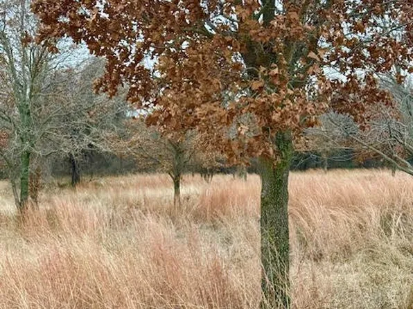 702 County Road 3597, Boyd, TX 76023