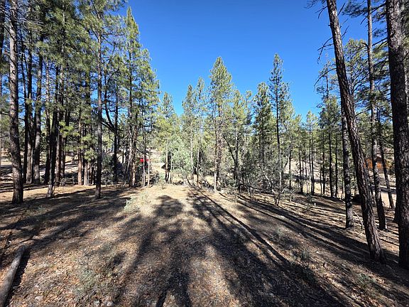 4th image of 122 S Hunter Creek Dr