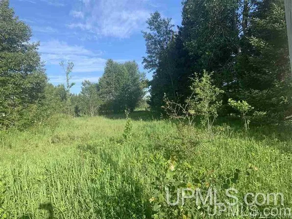 N 1st Ln, Perkins, MI 49872