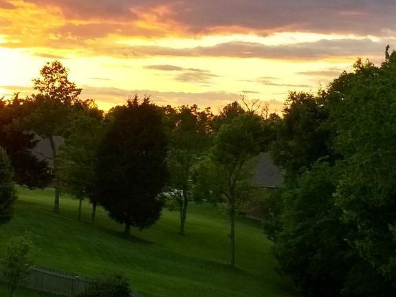 3rd image of 336 Sweet Grass Way
